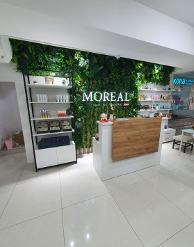 베르케 MOREAL